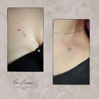 /album/fotogalerie-piercing/microdermal-mezi-prsa-klicni-kost-jpg/